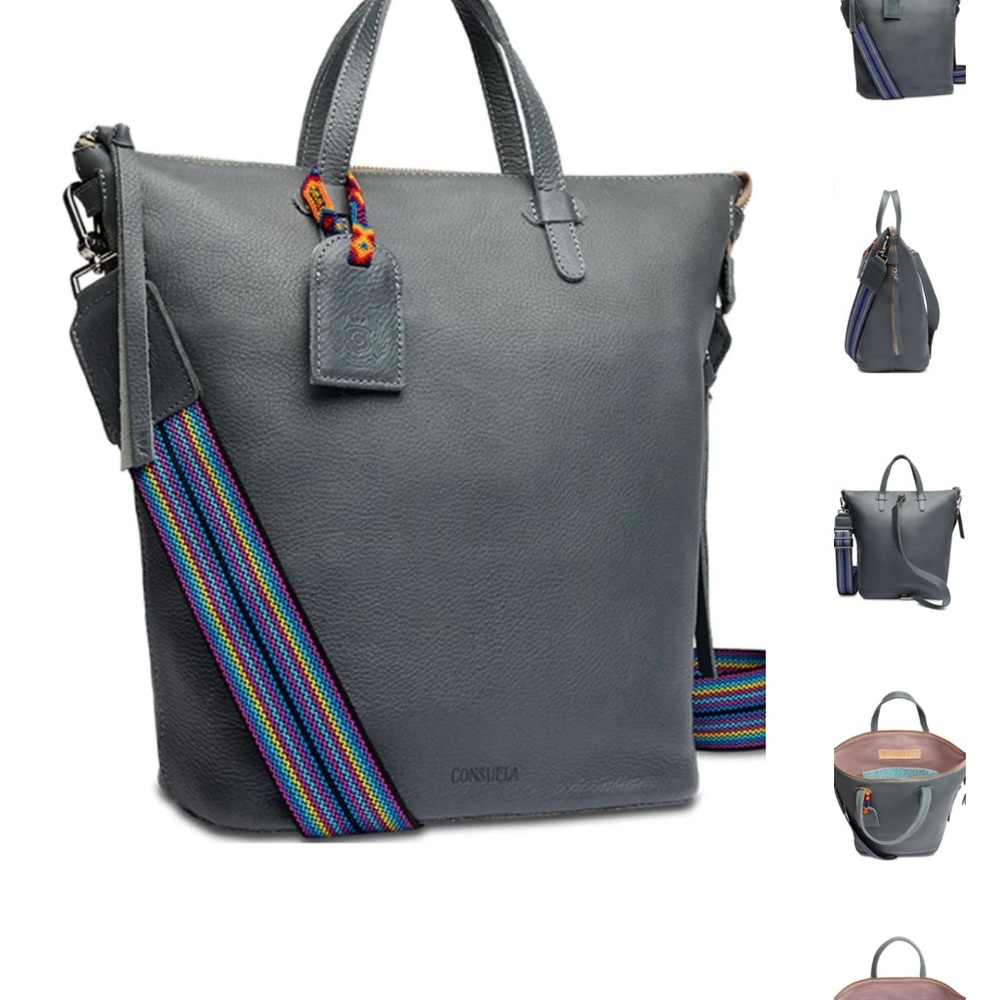 Consuela Gray Backpack with Multicolor Strap